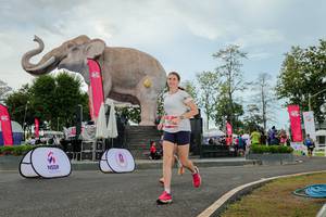 BIB: 
                            <button type="button" onclick="openModal(26528826)" class="btn btn-primary btn-sm float-right btn-popup" data-toggle="modal" data-target=".modal-high-quality">
                        <i class="fas fa-shopping-cart"></i> Add to Cart
                    </button>
                                            <button type="button" onclick="isThisMe(26528826, true)" class="btn btn-success btn-sm float-right btn-popup btn-isme hidden" data-toggle="tooltip" data-placement="bottom" title="นี่คือรูปของคุณใช่ไหม คลิกที่นี่เพื่อเอาเข้าอัลบั้ม">
                        <i class="fas fa-plus"></i> Add to album
                    </button>
                    <button type="button" onclick="isThisMe(26528826, false)" class="btn btn-warning btn-sm float-right btn-popup btn-isnotme hidden">
                        <i class="fas fa-ban"></i> Remove from album
                    </button>